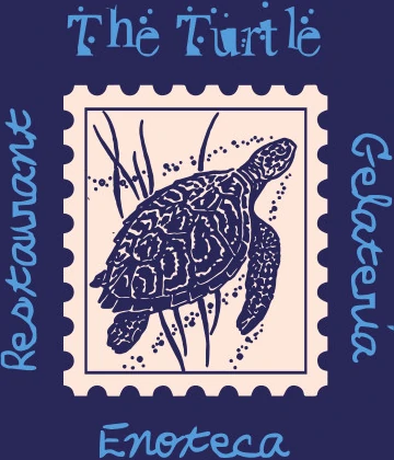 The Turtle Logo